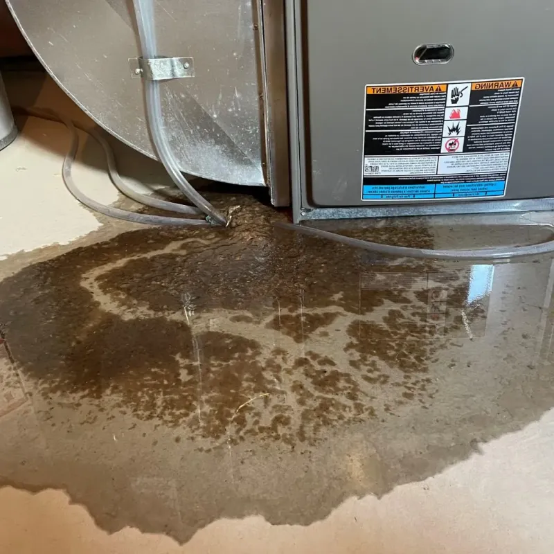 Pipe Burst and Leak Restoration in Fairview, UT
