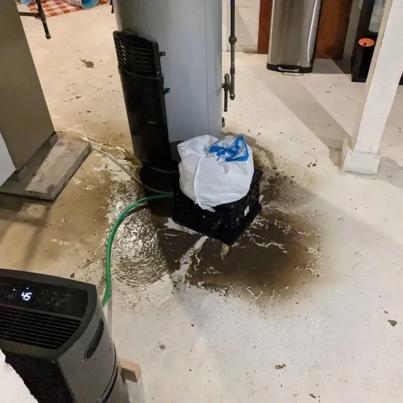 Sewage Backup Cleanup Service in Fairview, UT